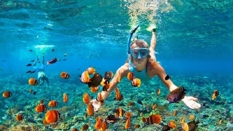 Isla Mujeres Unlimited