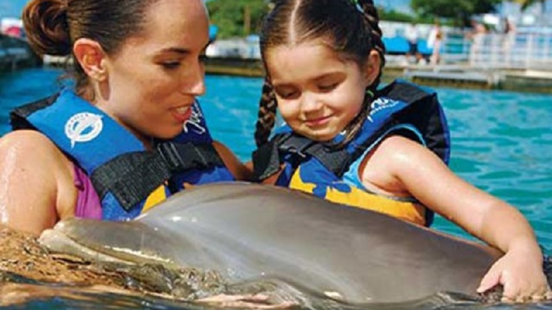 Experiencia ( Meet & Greet)