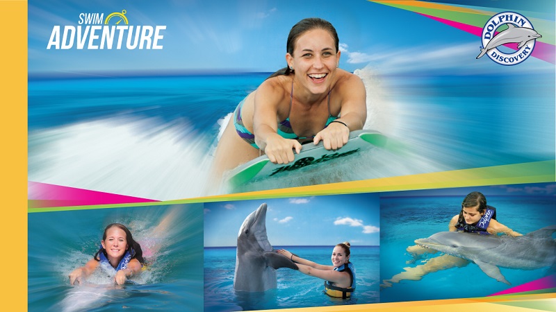 Dolphin Swim Adventure
